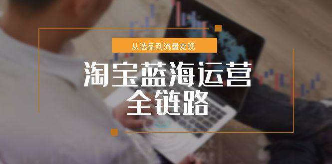 （15160期）淘宝蓝海运营全链路，从选品到流量变现，小类目突围完整方案-讯领网创