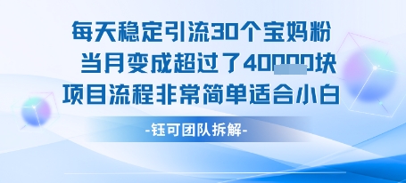 每天稳定引流30个人 当月变成超过了4个W项目流程非常简单适合小白-讯领网创