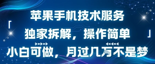 苹果手机技术服务，独家拆解，操作简单，小白可做，月过1W不是梦-讯领网创
