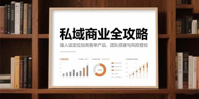 （15294期）私域商业全攻略，强人设定位加高客单产品，团队搭建与风险管控-讯领网创