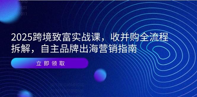 （14975期）2025跨境致富实战课，收并购全流程拆解，自主品牌出海营销指南-讯领网创