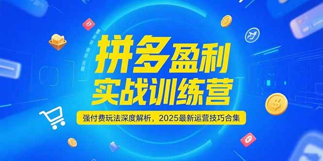 （15183期）拼多多盈利实战训练营，强付费玩法深度解析，2025最新运营技巧合集-讯领网创
