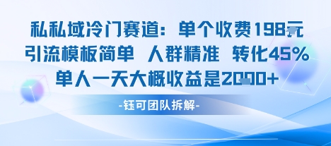 私域冷门赛道单个收费198米引流模板简单人群精准 45%的转化率单人一天大概收益多张-讯领网创
