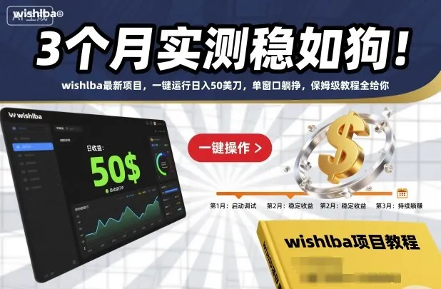 3个月实测稳如狗！wishlba最新项目，一键运行日入50美刀，单窗口躺挣，保姆级教程全给你【揭秘】-讯领网创