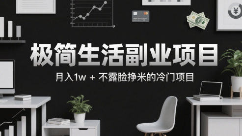 极简生活副业项目，月入1w+不露脸挣米的冷门项目-讯领网创