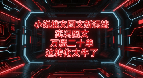 小说推文图文新玩法，实况图文，万播二十单，这转化太牛了！-讯领网创
