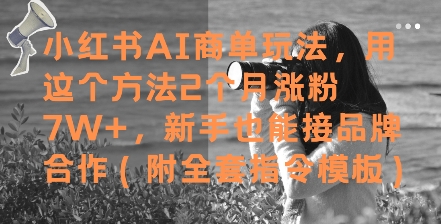 小红书AI商单玩法，用这个方法2个月涨粉7W+，新手也能接品牌合作(附全套指令模板)-讯领网创