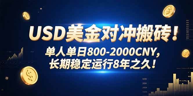 （15551期）USD美金对冲搬砖!单人单日800-2000CNY，长期稳定运行8年之久!-讯领网创