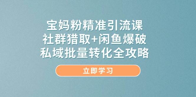 宝妈粉精准引流课，社群猎取+闲鱼爆破，私域批量转化全攻略-讯领网创