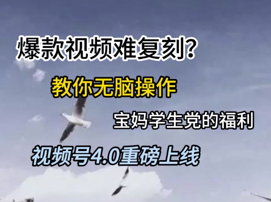 视频号4.0重磅上线，爆款视频难复刻？教你无脑操作宝妈学生党的福利【揭秘】-讯领网创