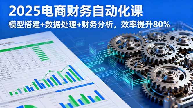 （16021期）2025电商财务自动化课，模型搭建+数据处理+财务分析，效率提升80%-讯领网创