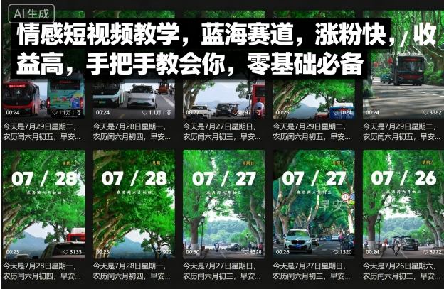 情感短视频教学，蓝海赛道，涨粉快，收益高，手把手教会你，零基础必备-讯领网创