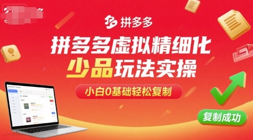 拼多多虚拟精细化少品玩法实操，小白0基础轻松复制-讯领网创