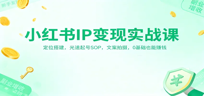 小红书IP变现实战课：定位搭建，光速起号SOP，文案拍摄，0基础也能赚钱-讯领网创