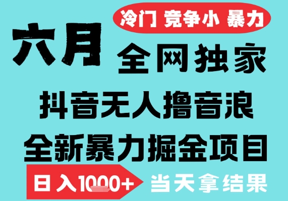 2025年6月高爆抖音无人直播最新撸音浪掘金项目，无脑日入1k+，低门槛小白可做，可矩阵放大【揭秘】-讯领网创