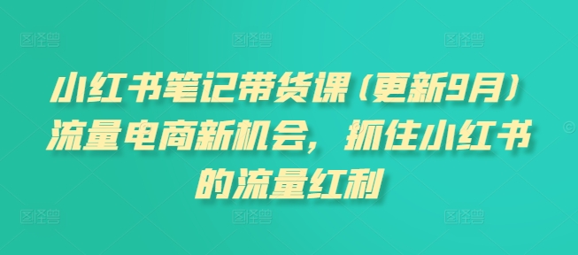 小红书笔记带货课(更新25年5月)流量电商新机会，抓住小红书的流量红利-讯领网创