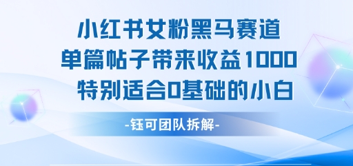 小红书女粉黑马赛道单篇帖子带来收益1k+，特别适合0基础的小白-讯领网创