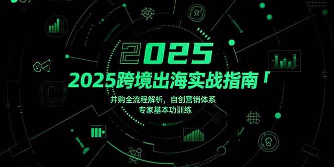 （15503期）2025跨境出海实战指南，并购全流程解析，自创营销体系，专家基本功训练-讯领网创