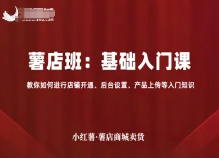 小红薯薯店商城卖货，基础入门课，教你如何进行店铺开通、后台设置、产品上传等入门知识-讯领网创