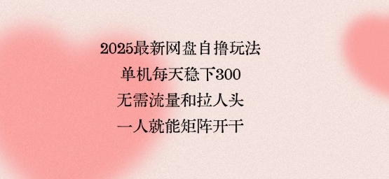 2025最新网盘自撸玩法，单机每天稳下3张，无需流量和拉人头，一个人就可轻松矩阵，全网独一份【揭秘】-讯领网创