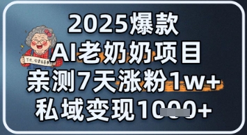 2025爆款 AI 老奶奶项目：亲测 7 天涨粉 1W+，私域变现 1k+-讯领网创