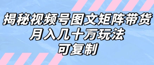 解密视频号图文矩阵带货，月入几个W的打法，可复制-讯领网创