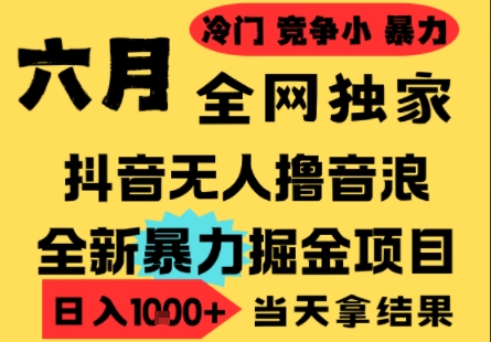 25年6月高爆抖音无人直播最新撸音浪掘金项目，小白可做，无脑日入1k+，门槛低可批量矩阵【揭秘】-讯领网创