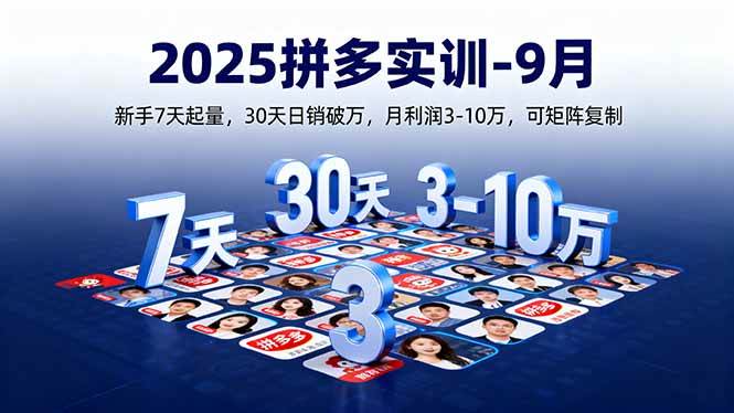 （16008期）2025拼多多实训-9月：新手7天起量,30天日销破万,月利润3-10万,可矩阵复制-讯领网创