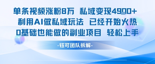 单条视频私域变现4.9k+利用AI做私域玩法 已经开始火热0基础也能做的副业项目轻松上手-讯领网创