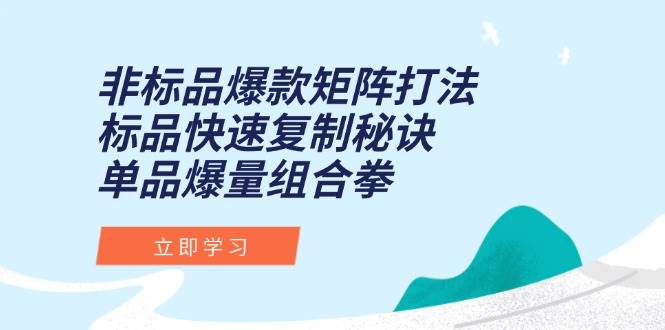 （15068期）非标品爆款矩阵打法，标品快速复制秘诀，单品爆量组合拳-讯领网创