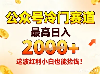 公众号冷门赛道，最高日入1k+，这波红利小白也能捡钱！-讯领网创