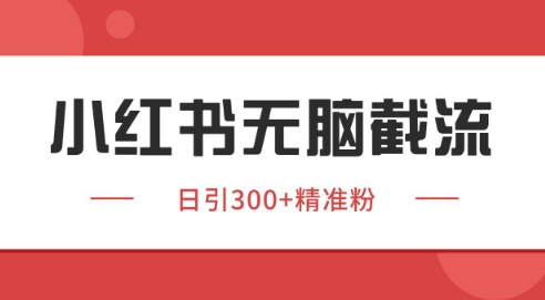 小红书截流同行客源，独家野路子获客玩法 日引200+暴力获客【揭秘】-讯领网创