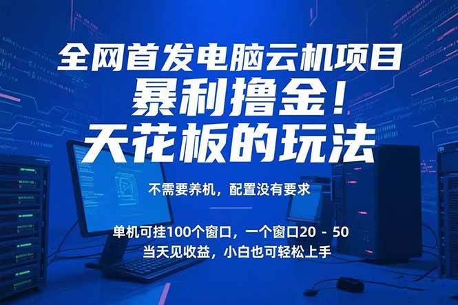 （15323期）电脑云机项目 暴力撸金玩法，不需要养机 配置没有要求 单机100个窗口一…-讯领网创