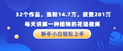 32个作品，涨粉14.7W，获赞201W，每天讲解一种植物的花语视频，无需任何技巧，新手小白轻松上手-讯领网创