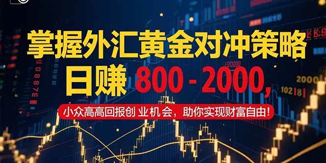 （15198期）掌握外汇黄金对冲策略，日赚 800 – 2000，小众高回报创业机会，助你实…-讯领网创