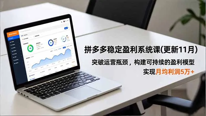 拼多多稳定盈利系统课(更新11月-讯领网创