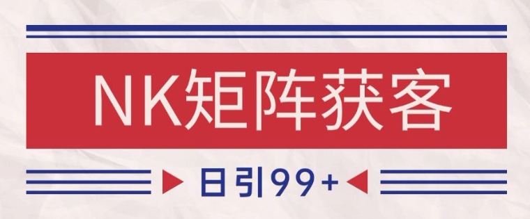 小红书某音NK赛道引流获客 自热矩阵日引200+【揭秘】-讯领网创