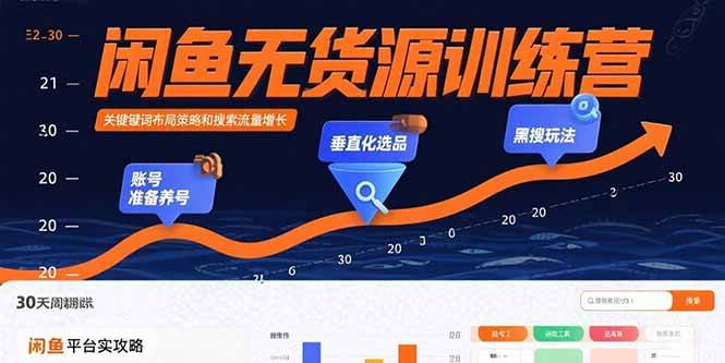 （15698期）闲鱼无货源训练营：账号准备养号/垂直化选品/黑搜玩法，0基础30天盈利指南-讯领网创