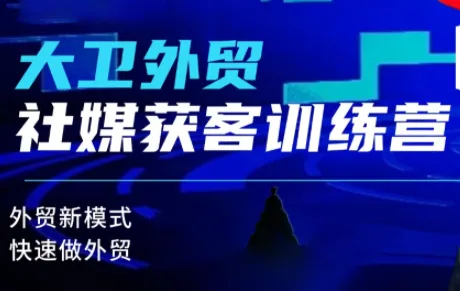 大卫老师·外贸社媒获客独家训练营(更新)-讯领网创