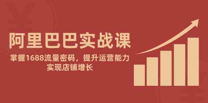 阿里巴巴实战课：掌握1688流量密码，提升运营能力，实现店铺增长-讯领网创
