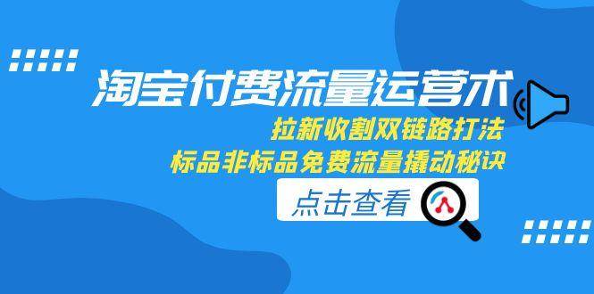 （15135期）淘宝付费流量运营术，拉新收割双链路打法，标品非标品免费流量撬动秘诀-讯领网创