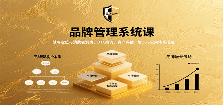 品牌管理系统课：战略定位与消费者洞察，DTC案例、资产评估，增长与公关体系搭建-讯领网创