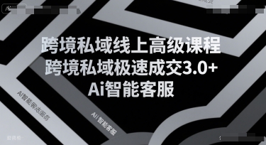 跨境私域线上高级课程，跨境私域极速成交3.0+Ai智能客服-讯领网创