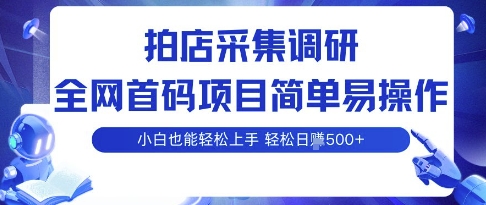 拍店采集调研，全网首码项目，简单易操作， 小白也能轻松上手，多账号操作，轻松日入5张【揭秘】-讯领网创