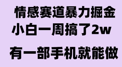 情感暴力掘金项目，新人操作一周挣了2W，长期稳定小白可做【揭秘】-讯领网创