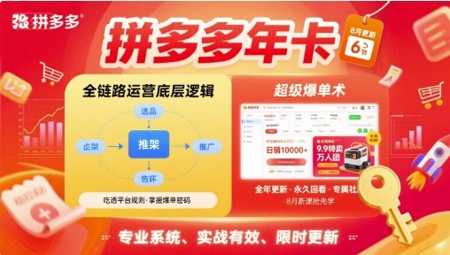 拼多多年卡【8月更新6节】拼多多全链路运营底层逻辑，超级爆单术-讯领网创
