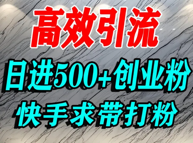 怎么打创业粉？快手求带视角精准引流创业粉，宝妈、学生群体日进500+精准流量-五四资源网