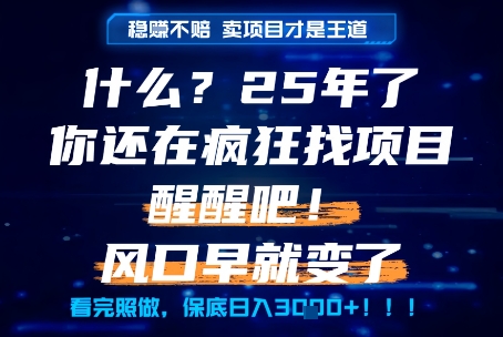 什么？25年你还在疯狂找项目做，醒醒吧，看完这些你全都懂了！【揭秘】-讯领网创