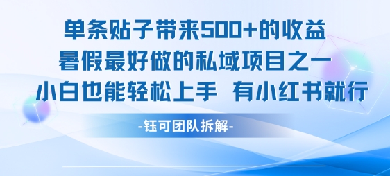 单条贴子带来5张的收益，暑假最好做的私域项目之一，小白也能轻松上手，有小红书就行-讯领网创