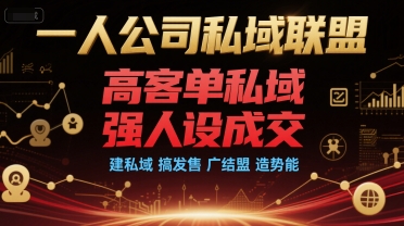 一人公司私域联盟，高客单私域，强人设成交，建私域 搞发售 广结盟 造势能-讯领网创